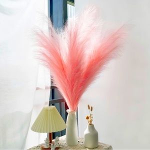 Tall 3 foot ft feet Pink Pampas Grass